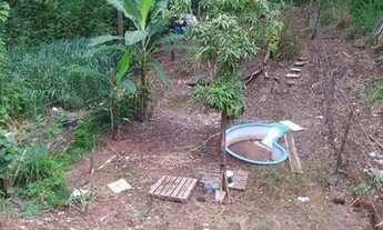 Imagem 6: Vd lote em árniqueiras 480m