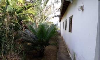 Imagem 6: Sitio em Miracatu- São paulo