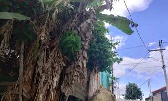 Imagem 2: Vende-se Casa com 1 dormitório