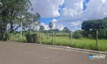 Imagem 6: Area Cônsul Assaf Trad