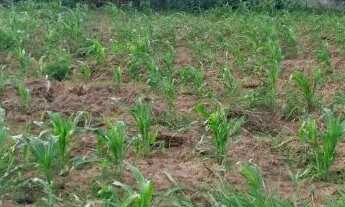 Imagem 4: 1 Tarefa de terra