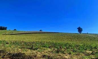 Imagem 2: Lote/Terreno para venda tem 500 metros quadrados em Bosque dos Eucalíptos - Atibaia - SP