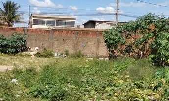 Imagem 2: Um execelente lote