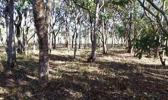 Imagem 5: Chácara a venda