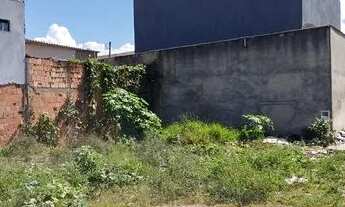 Imagem 1: Um execelente lote