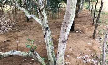 Imagem 6: Casa localizada em Ribeira do Pombal-Ba