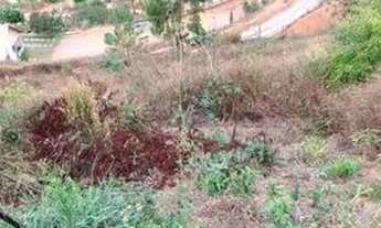 Imagem 2: Vendo ou troco Terreno ponto alto domingos martins