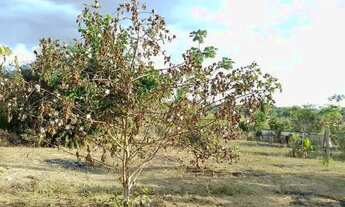 Imagem 4: Chacara a 3km da coca cola