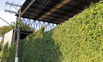 Imagem 4: Galpão/Depósito/Armazém para aluguel com 450 metros quadrados em Vila Ema - São Paulo - SP