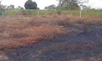 Imagem 6: Lotes em Conceição da feira