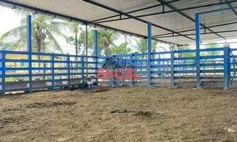 Imagem 6: Chácara ampla com casas - Nossa Senhora das Dores/SE