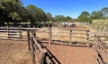 Imagem: Fazenda Próxima Rosário Oeste MT 64 hectares