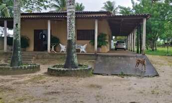 Imagem: Vendo Linda Chacara em Limoeiro de Anadia!