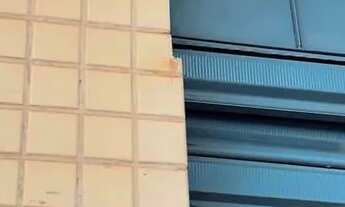 Imagem: Apartamento para aluguel com 100 metros