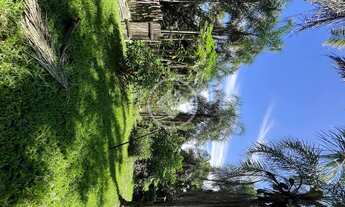 Imagem 4: CHÁCARA COM 4 ALQ AS MARGENS DA GO-080, RICA EM BENFEITORIAS E ÁGUA, Á 7KM DE PETROLINA DE