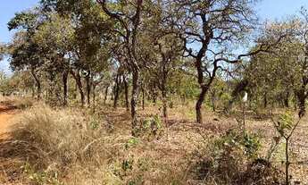 Imagem 5: Chácaras de 4000m² próximo ao lago de Três Marias