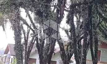 Imagem 6: Terrebo de esquina com 1084m² Canela