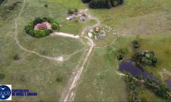 Imagem 2: Fazenda à Venda em Faina GO | 101 Alqueires