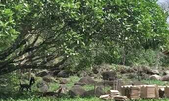 Imagem 7: 20.000 m2 100% aproveitáveis, aos pés da Serra da Mantiqueira, a 45 min do centro SJC