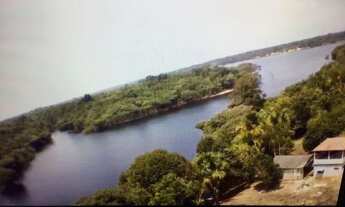 Imagem 4: Terreno no lago de Acajatuba