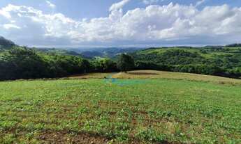 Imagem 7: Sítio à venda, 9 alqueires por R$ 1.400.000 - Linha Santana - Catanduvas/PR