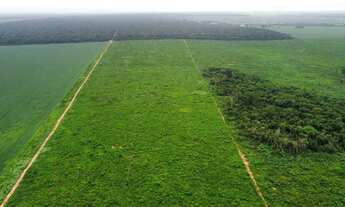 Imagem: Fazenda 1.024 hec em nova motum MT. 200hec