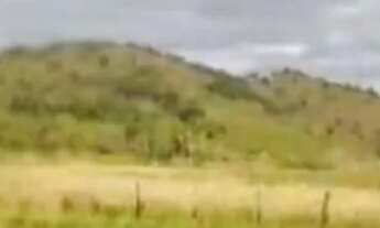 Imagem 3: Lotes e terrenos