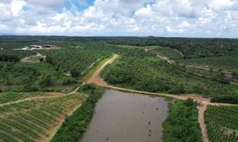 Imagem 4: FAZENDA NO SUL DA BAHIA - 1855 TAREFAS