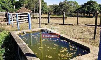 Imagem 2: Fazenda 86 Alqueires (416 Hectares) Mairipotaba - GO