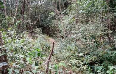 Imagem 2: Terreno 65.000m², as margens do Rio das Velhas, Jaboticatubas