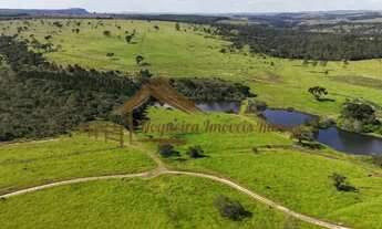 Imagem 4: Fazenda com 294 alqueires, usada na pecuária, ótima localização, rica em água