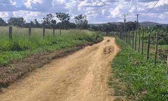 Imagem 3: Vendo Chácara de 2.500 Mil metros na Região da Fazenda Velha