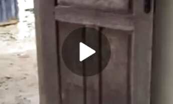 Imagem 6: Casa para alugar