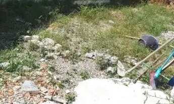 Imagem 3: Casa Casa com 1 dormitório