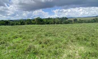 Imagem 7: Ótima Chácara em Itaberaí