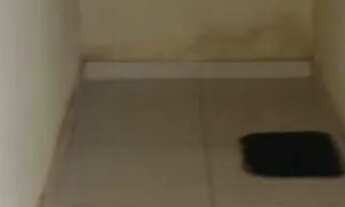 Imagem 4: Casa com barraco