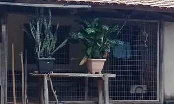 Imagem 2: Fazenda com 28 alqueires documentada casa pastos água terra cultura troca