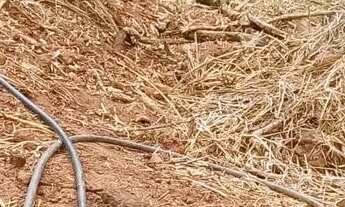 Imagem 7: Venda-se está chácara de 6 litros totalizando 8.267,50 mil M2 no Município de Muqui/ES