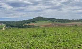 Imagem 5: He Lotes planos para chácaras! Parcelamos!