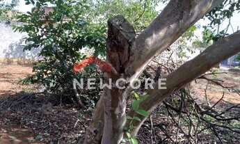 Imagem 5: Lote em Iperó - George Oetterer (Bacaetava) - Iperó/SP