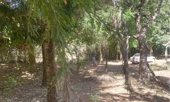 Imagem: Vende-se chácara no Tocantins pego camionete