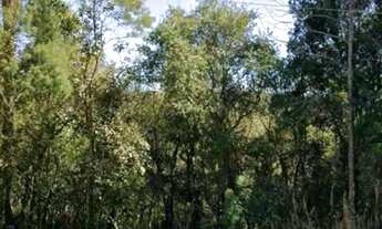 Imagem: Vendo terreno