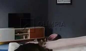 Imagem 2: Venda Apartamento 4 Dormitórios - 160 m² Paraíso