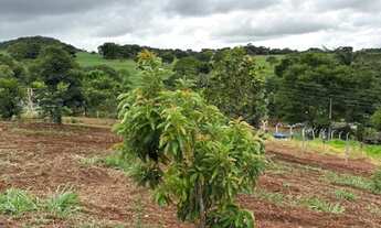Imagem 5: CHÁCARA 4.800 m² COM CASA PRONTA - 53 km de Goiânia OFERTA PARA VENDER RÁPIDO