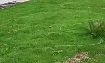 Imagem 2: Oportunidade de comprar