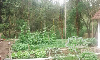 Imagem 4: Campo Brasil Imóveis, realizando seu sonho rural! Sítio com área de 31.000M²