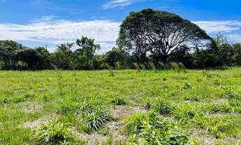 Imagem 4: Sitio Vendo/Troco por carro ou casa