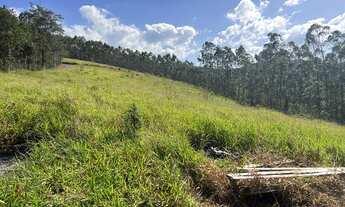 Imagem 5: OFERTA - Terreno 1000m² 20x50 em Santa Isabel - SP