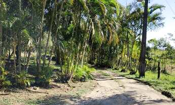 Imagem 3: Chacara em alexandra