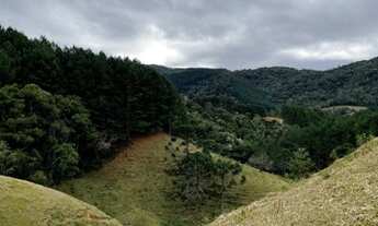 Imagem 3: Terreno Rancho Queimado / SC - Oportunidade